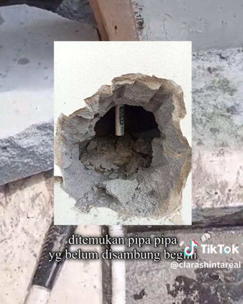 Tiktok.com/clarashintareal